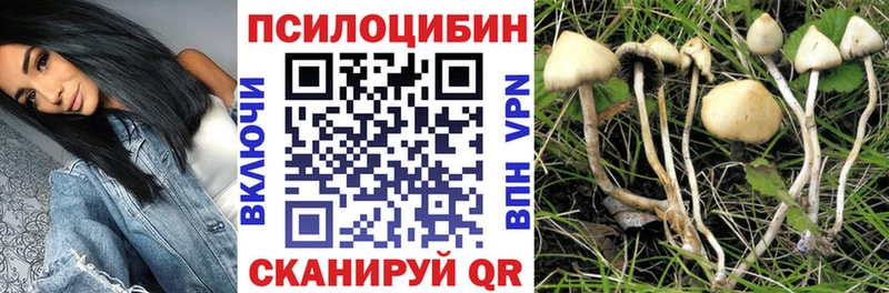 купить наркотики сайты  Алушта  Псилоцибиновые грибы Magic Shrooms 